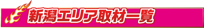 見出し-新潟エリア