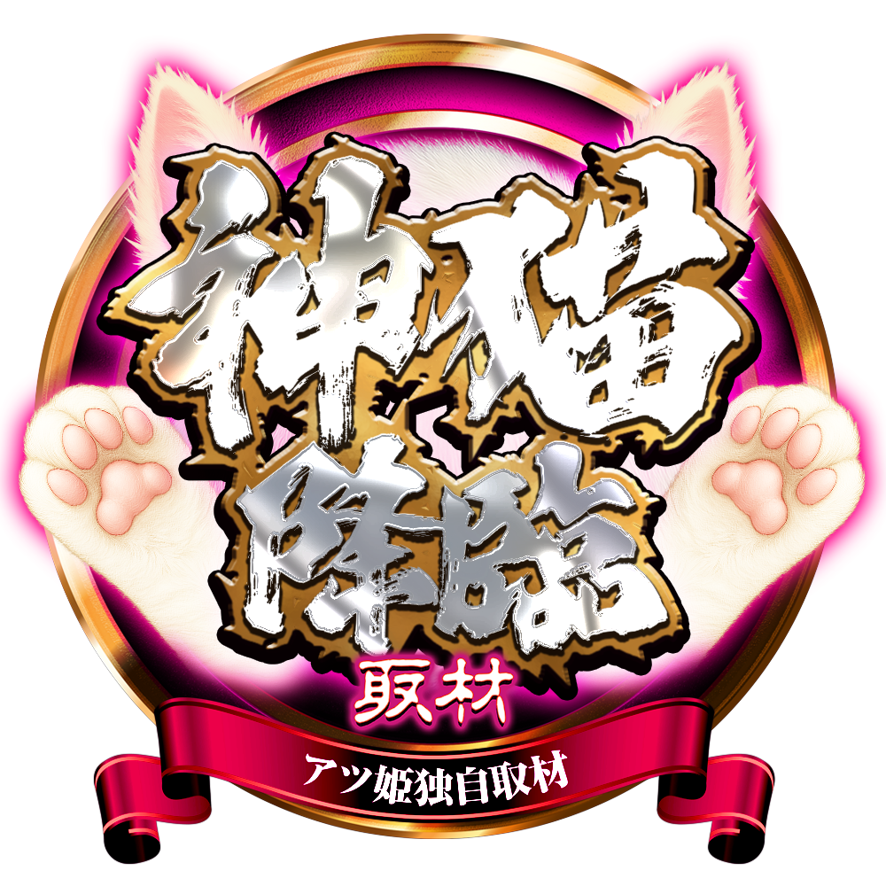 神猫降臨